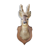 Former hunting trophy