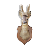 Former hunting trophy