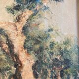 Oil on canvas, Olive tree trunk signed 20th Brvao (JG)
