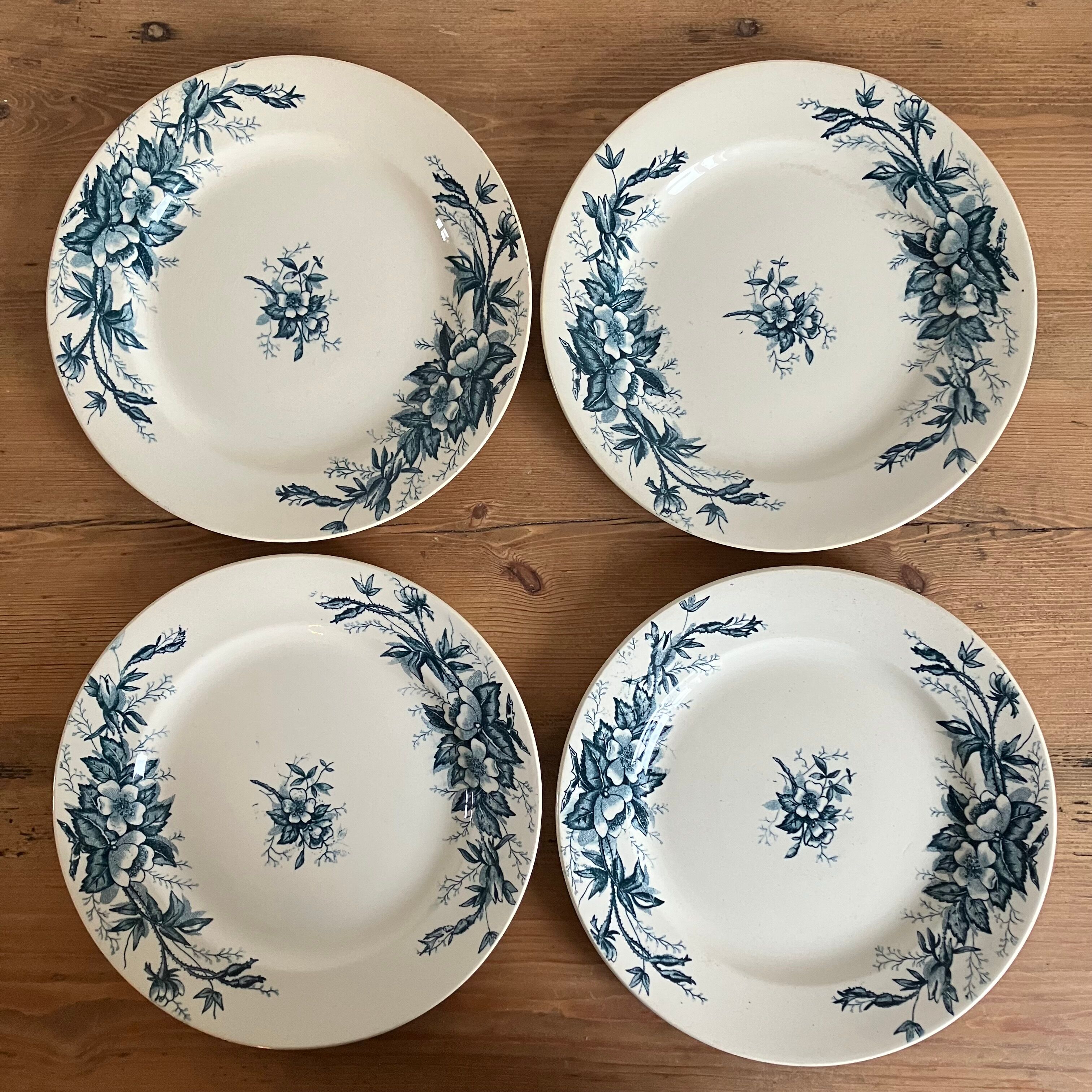 4 flat plates Terre de Fer, Eglantine model