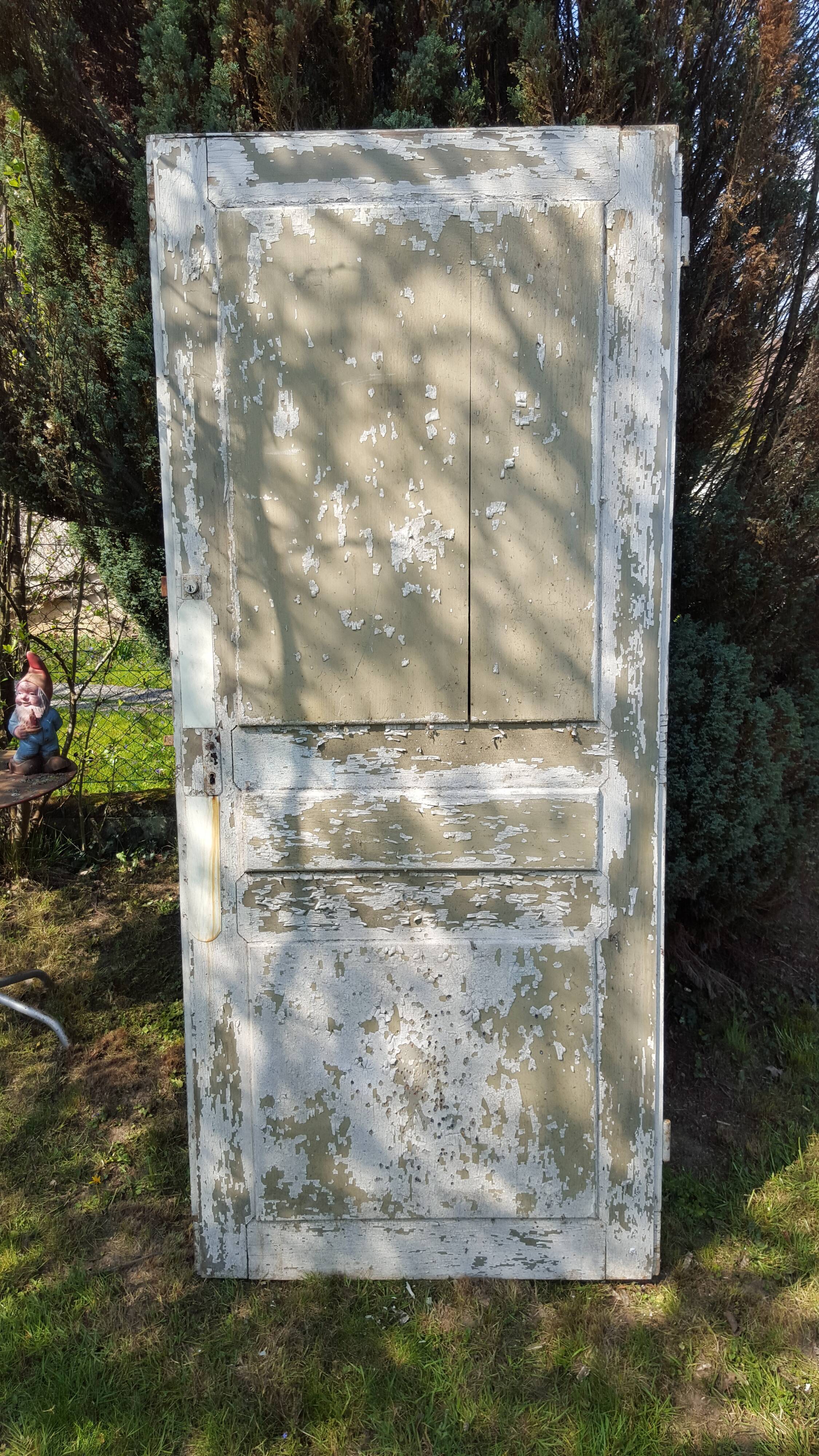 Original old patina separation door