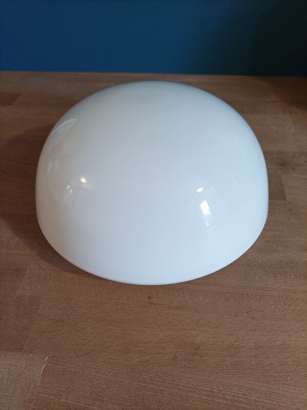 Ceiling lamp with opaline globe