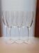 Set of 6 champagne flutes