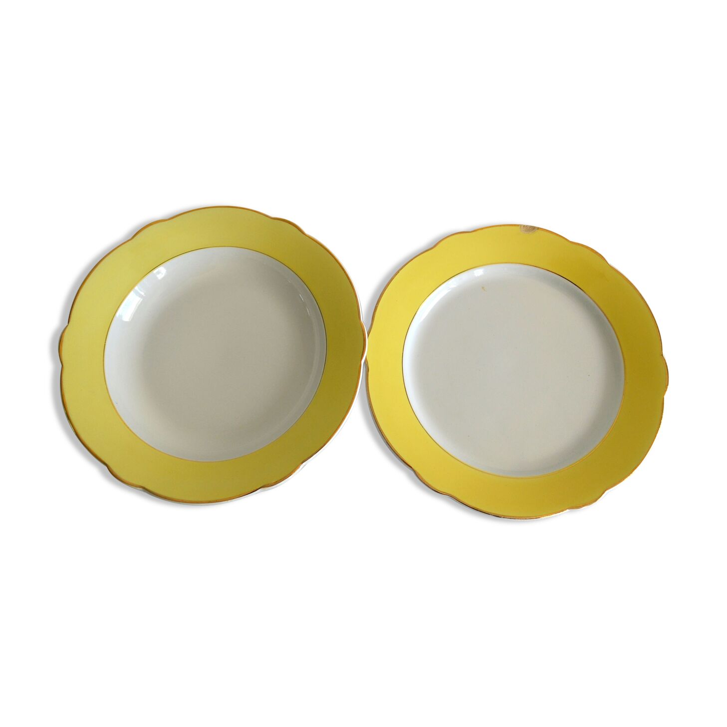 Dishes Lunéville model Daffodil