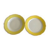 Dishes Lunéville model Daffodil
