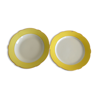Dishes Lunéville model Daffodil