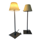 Paire de lampes vintage des années 80