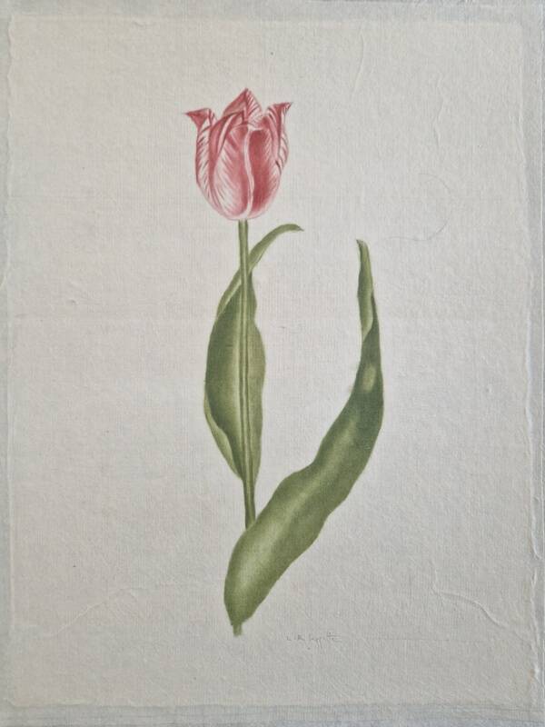 La Roche Laffitte (Born in 1943) - Watercolour drawing on silk - Tulip