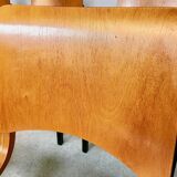 Set of 6 Dining Chairs P7 by Roland Rainer for E & A Pollack, Vienna 1952