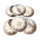 Lot de 6 assiettes en porcelaine