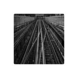 Limited edition art photo numbered, dated and signed by the photographer