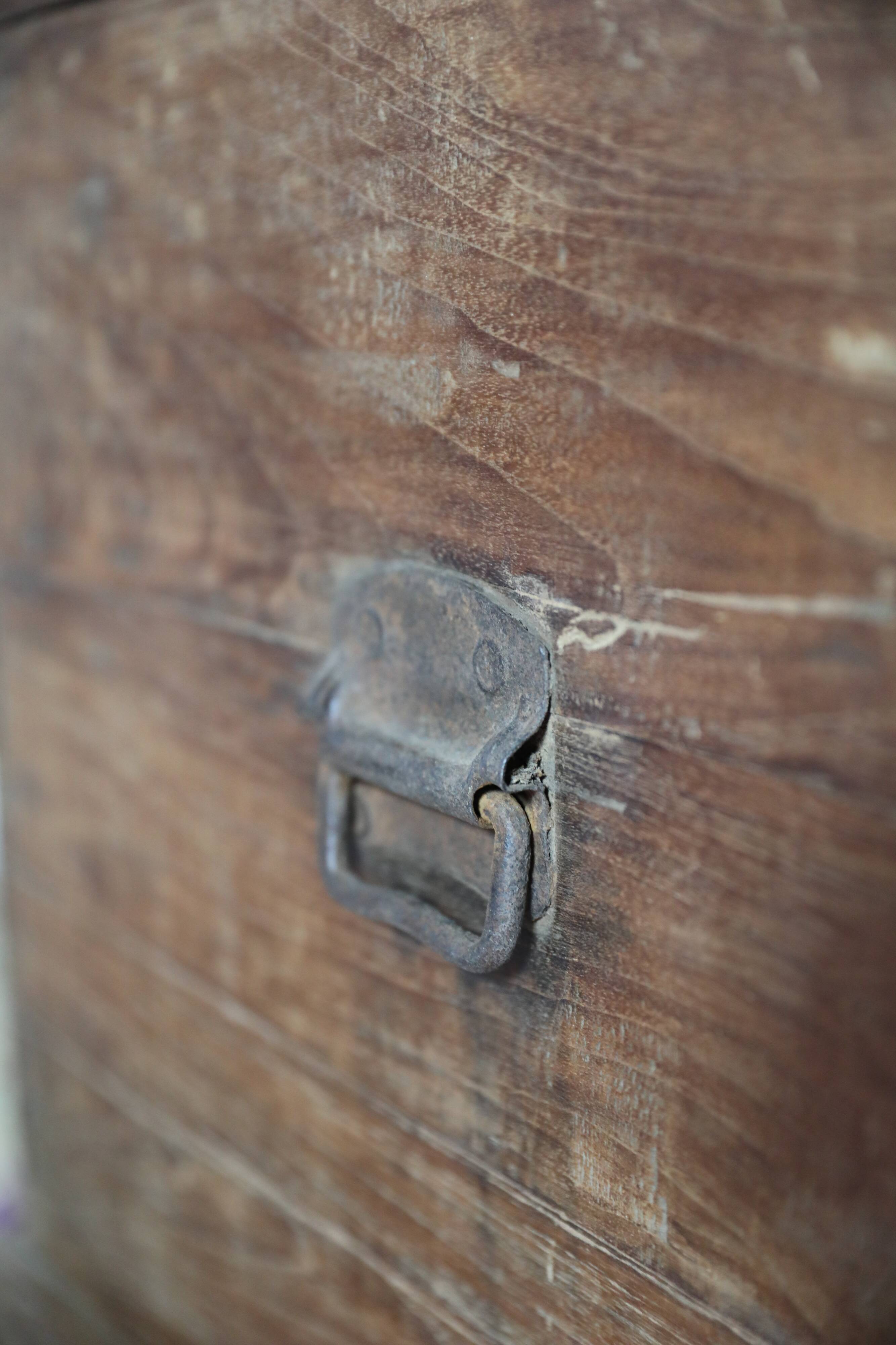 Indian furniture trunk in mango tree with compartment