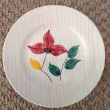 Larmor Digoin plates