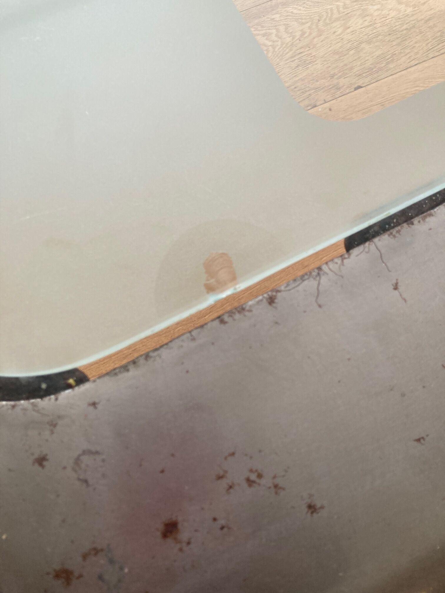 Metal and glass coffee table