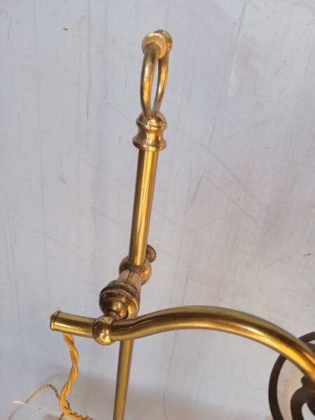 Tulip swan neck desk lamp in frosted glass