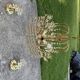 Mid-century chandelier and 2 wall sconces in gilded brass and clear glass, 1960s.