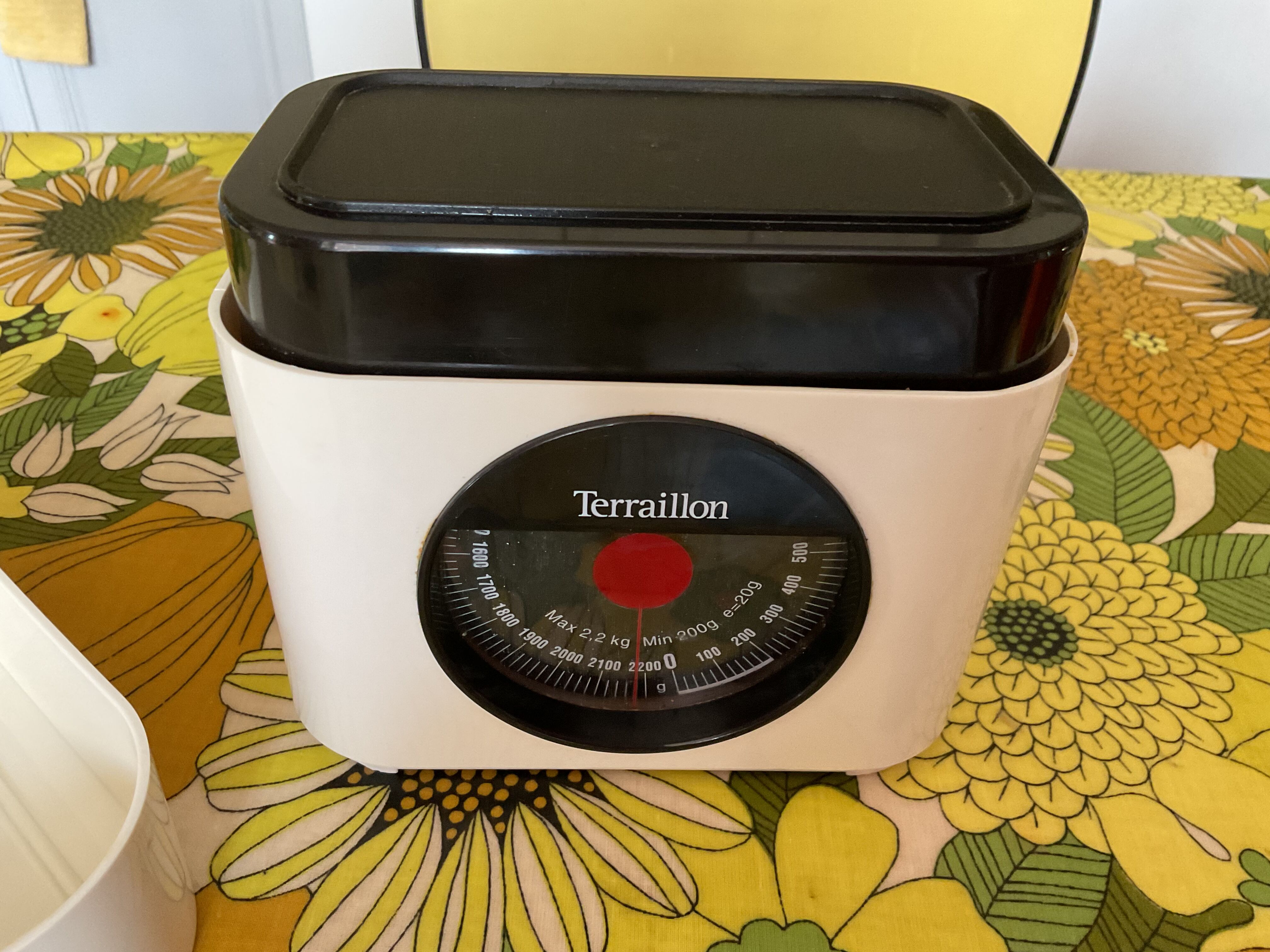 Terraillon vintage white and black scales