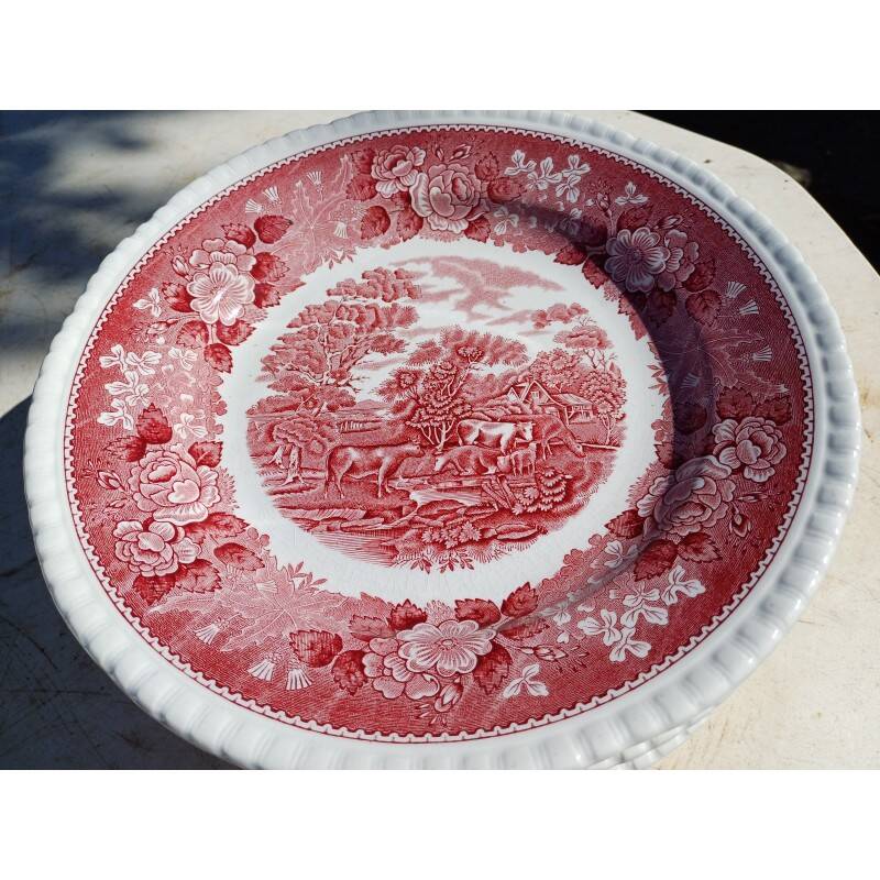 12 earthenware plates from the brand: Adams