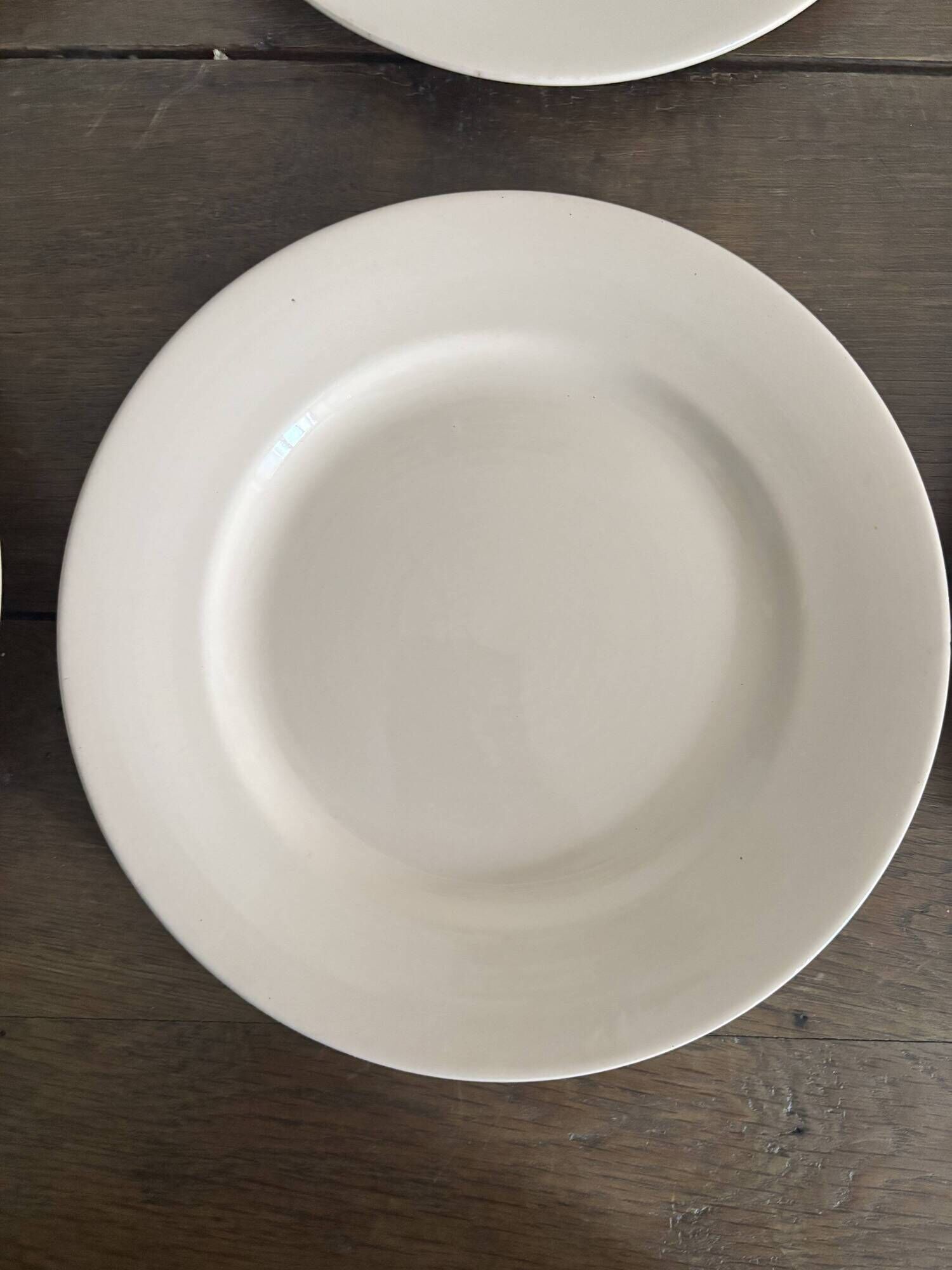 Set of 12 vintage plates Digoin Sarreguemines – Powder pink
