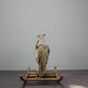 Cheval à bascule du milieu du siècle, années 1960, Tchécoslovaquie