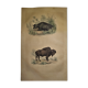 Planche zoologique originale de 1839 " Buffle, Bison"