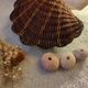 Boite coquillage vintage en osier