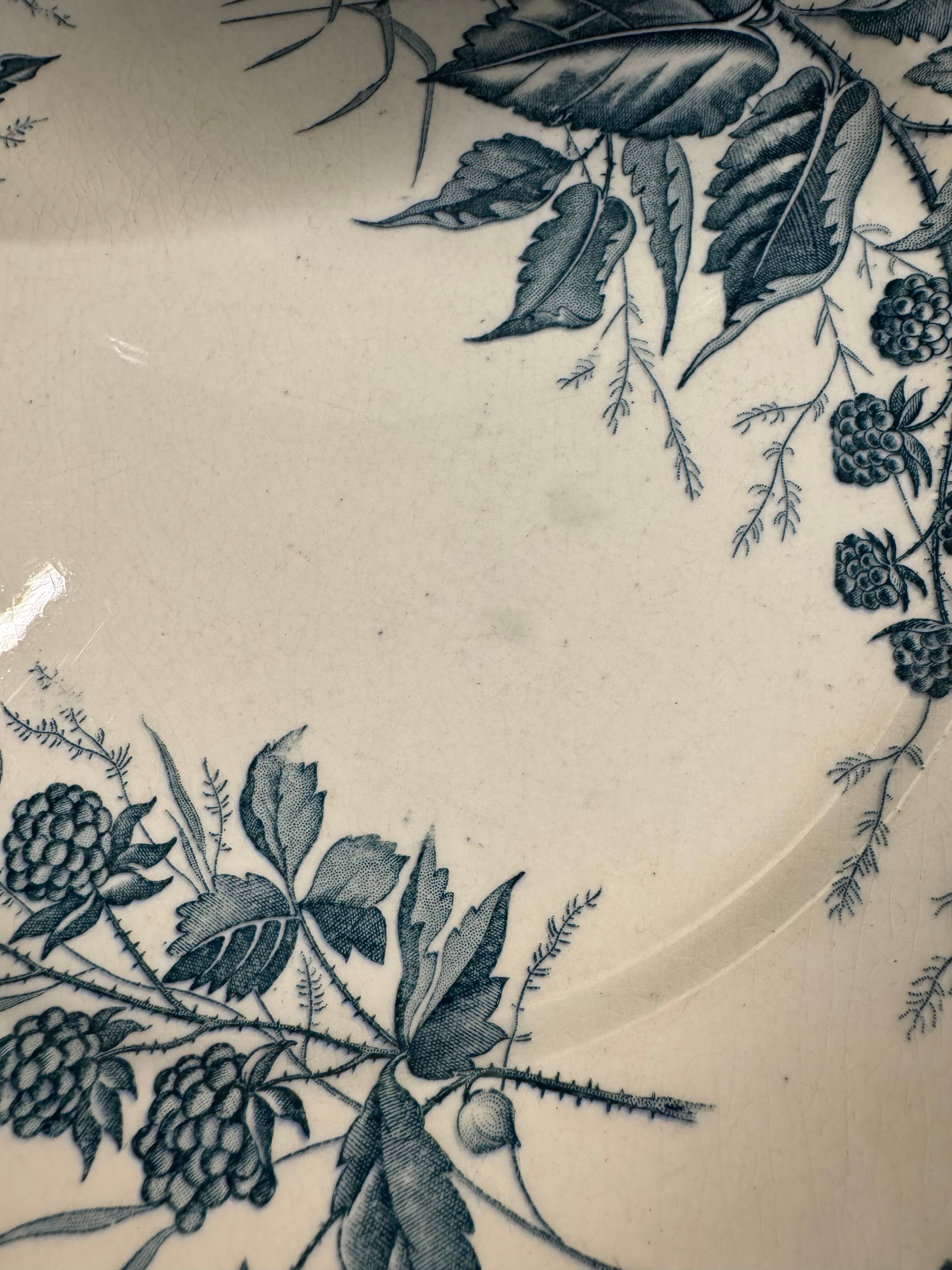 7 deep plates in ironstone "Mûre" Badonviller