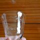 Lot de 6 verres à eau motif branche stylisée