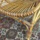 Rattan shell armchair