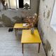 Duo de tables basses bois jaune