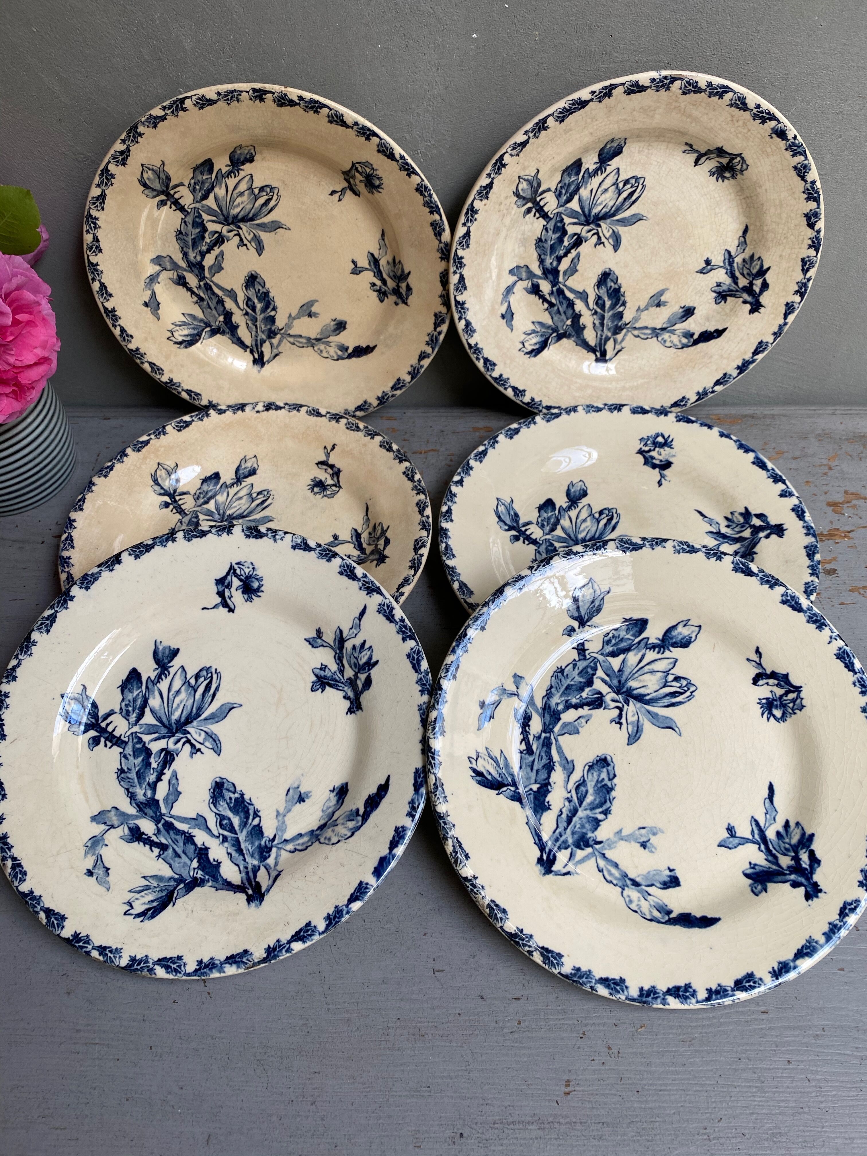 Gien 'Cactus' porcelain plates
