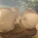 Five Pendant Lights with Frosted White Glass, 1970s