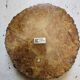 Genuine Alabaster Brutalisre Alabaster Ashtray