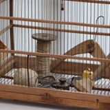 Old wooden bird cage