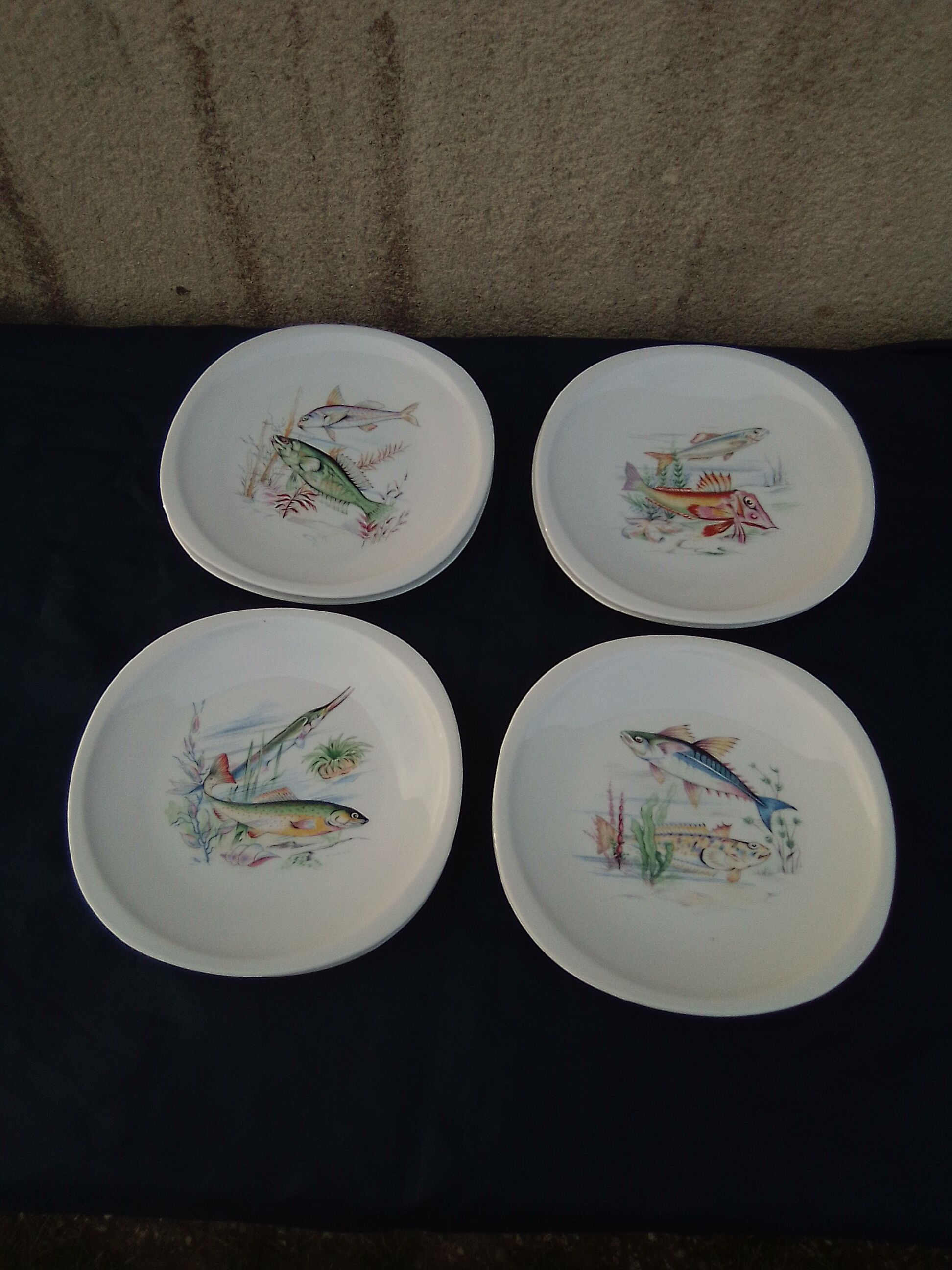 8 fish plates in Sologne porcelain 23 X 23 cm