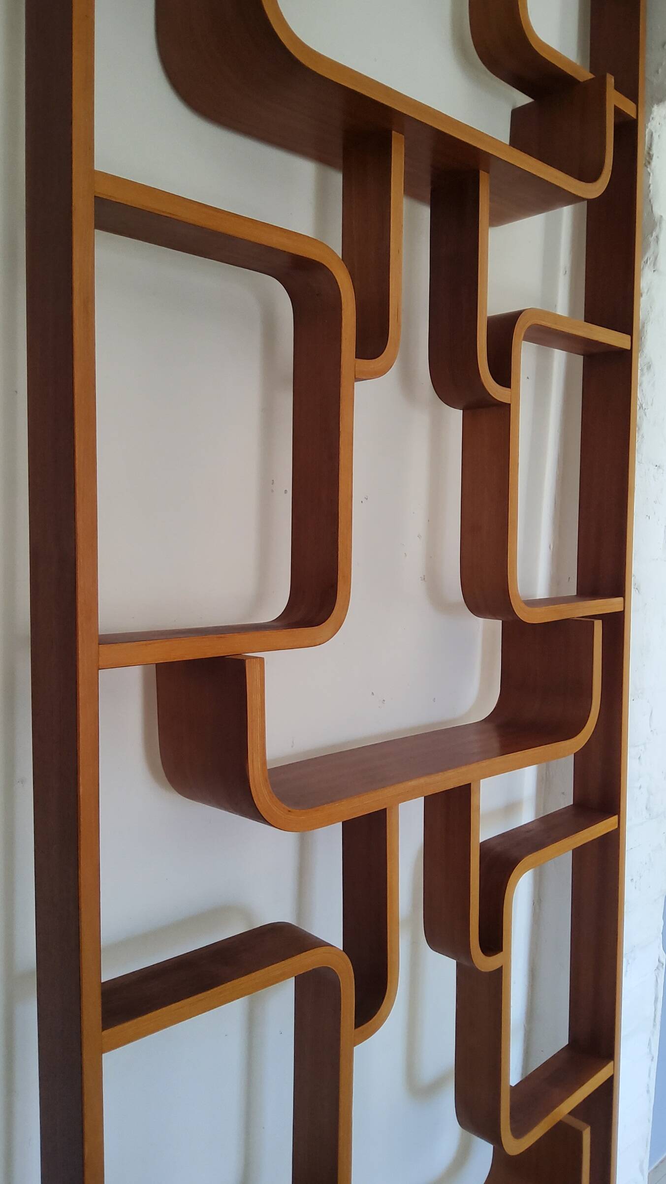 Vintage Czech screen by Ludvik Volak, 1960 for Drevopodnik Holesov