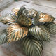 Green and gold flower wall lamp