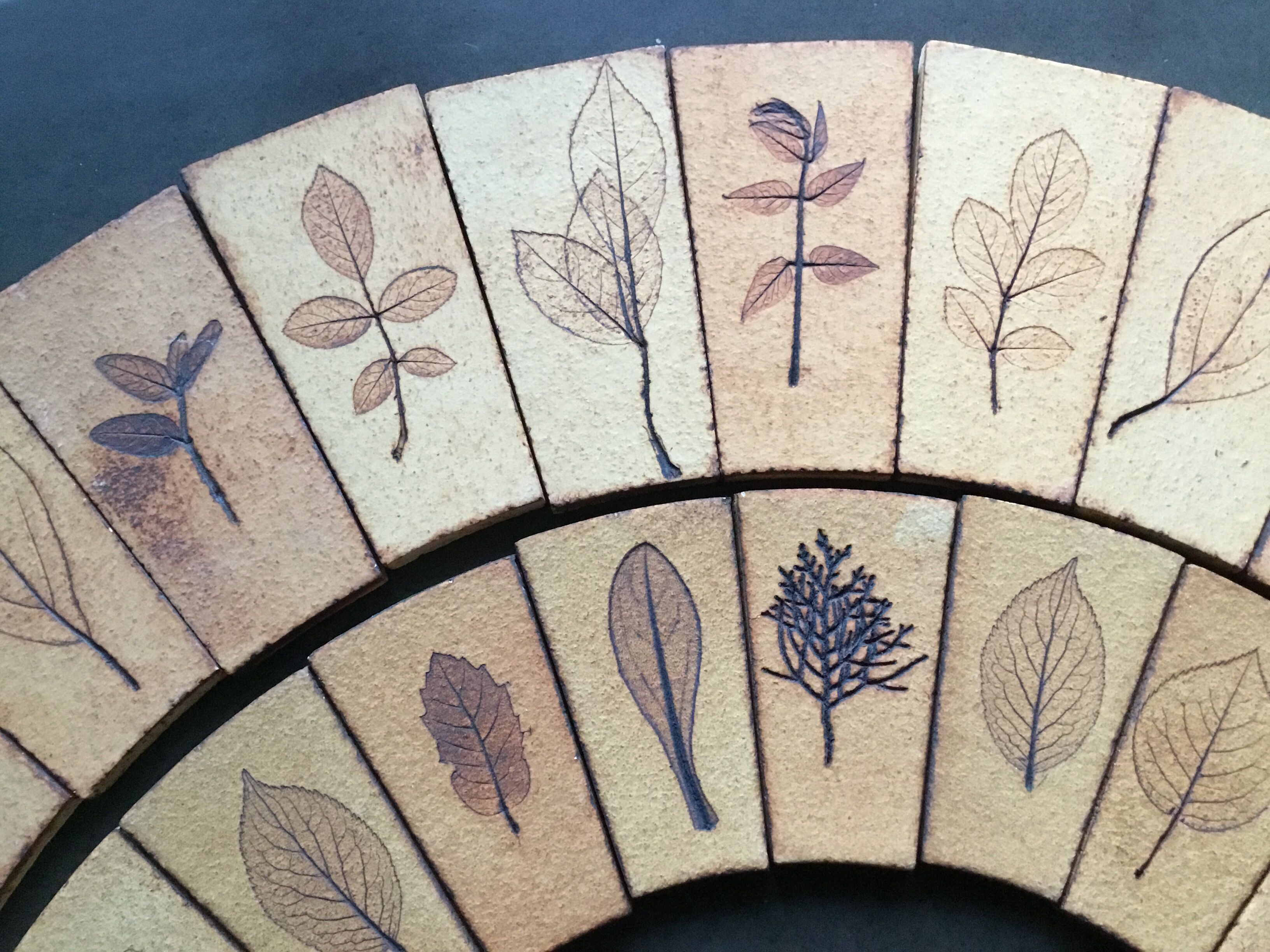 Carreaux herbier Roger Capron