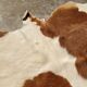 Vintage cowhide rug 1970