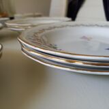 Porcelain plates