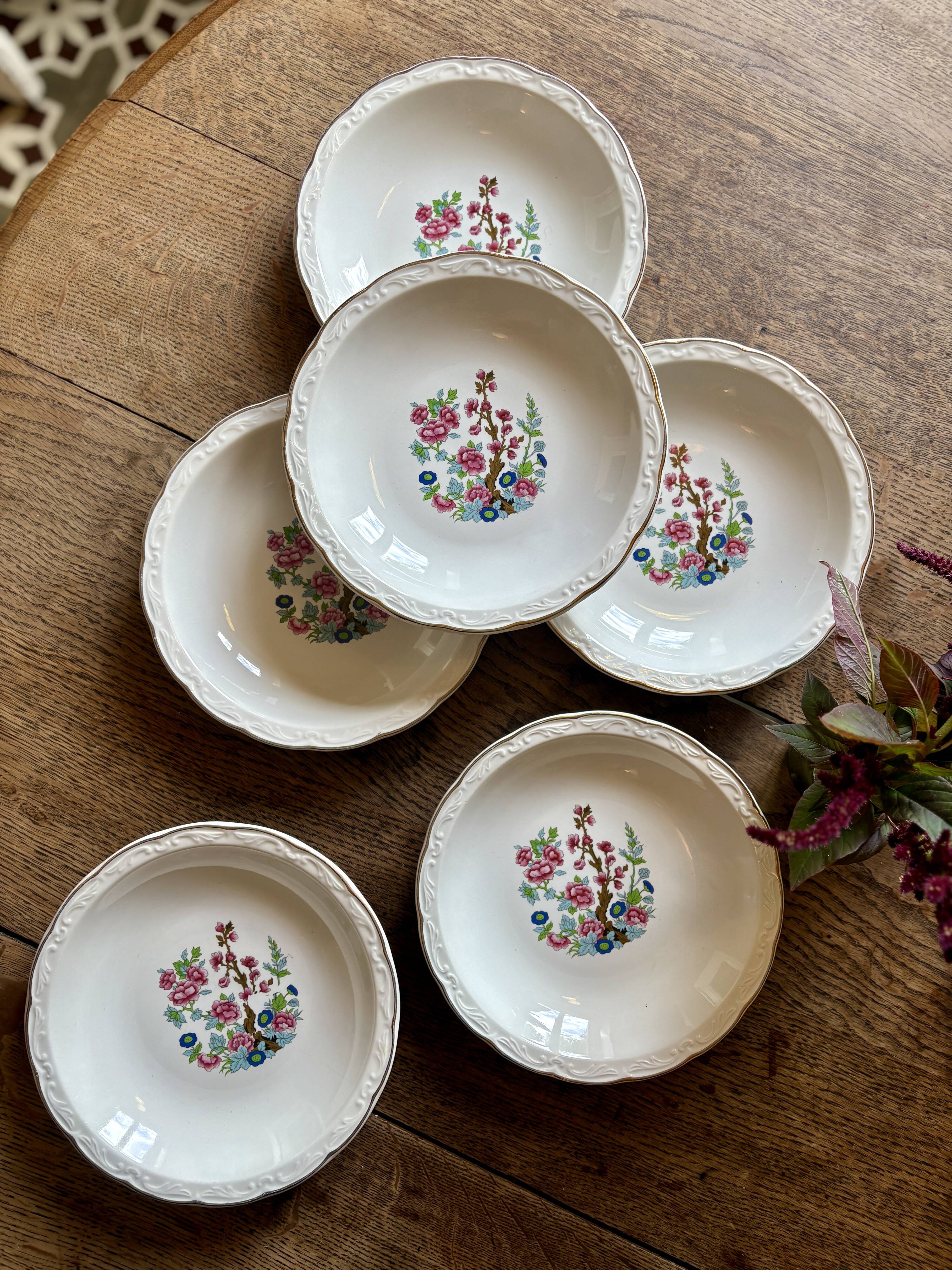 Set of 6 vintage soup plates, "Indian Tree" pattern by Digoin