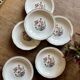 Set of 6 vintage soup plates, "Indian Tree" pattern by Digoin