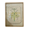 Glass frame watercolor mantis 1