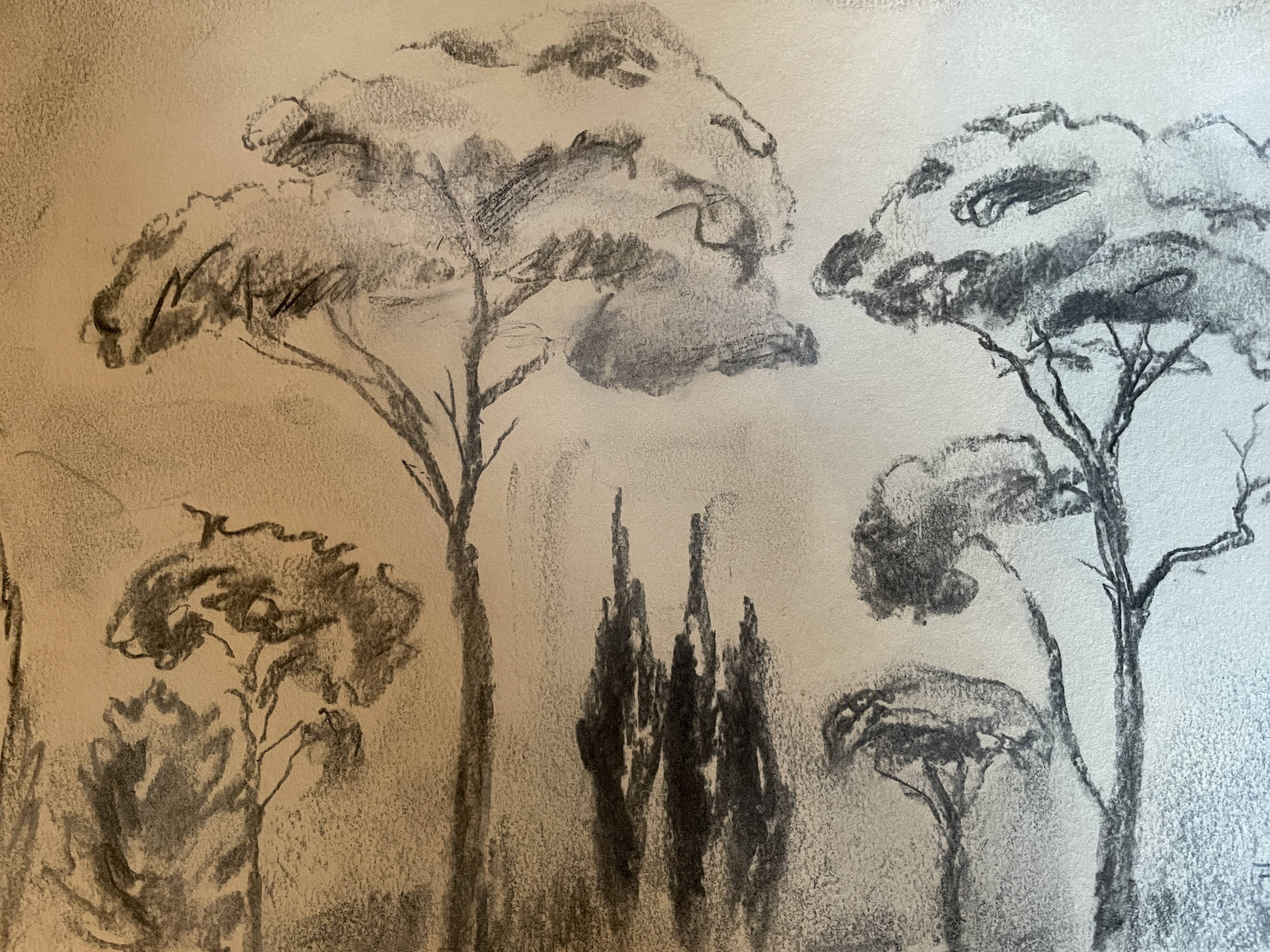 Charcoal painting signed “landscape of Provence” umbrella pines