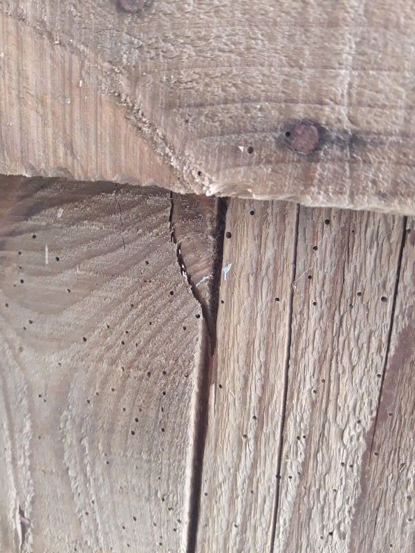 Transport case L58xD30,5xH34cm wood storage