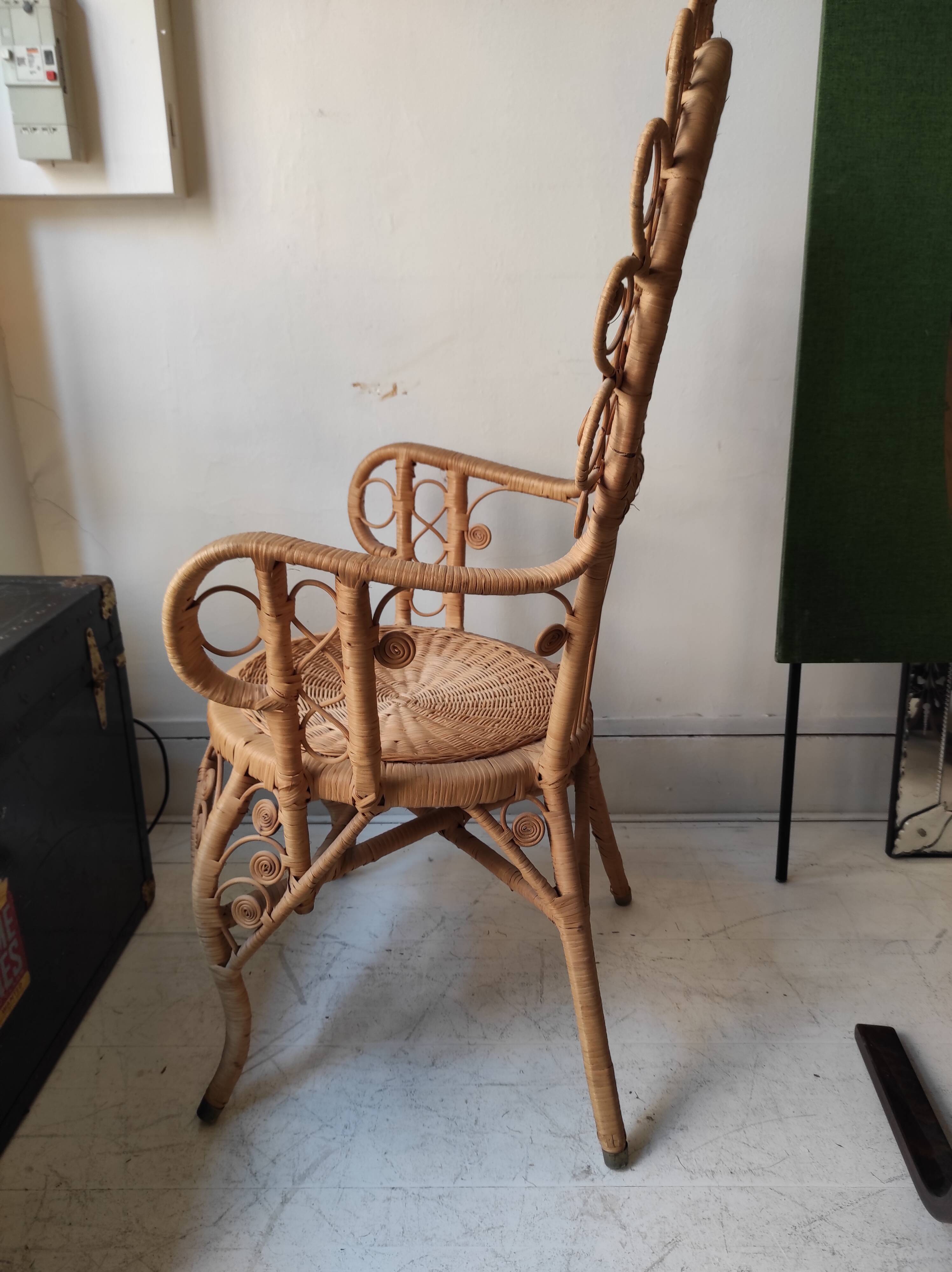 Peacock Chair