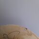 Beautiful decorative fish plate Puigdemont