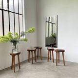 Set of 5 olive tree tripod stools from the 50s