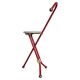 Midcentury Ulisse Folding Stool designed by Ivan Loss, Sandrigarden, Italy, 1981
