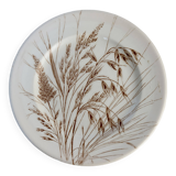 Assiette plate ancienne Ironstone England motif blé